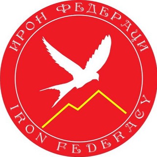 Логотип канала ironfederacy