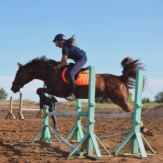 Логотип канала viken_horses