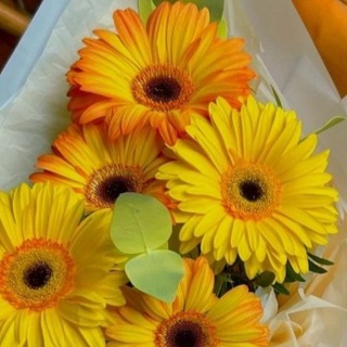 Логотип канала flowersbuket1