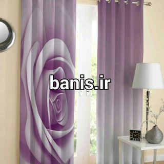 Логотип banisshop2