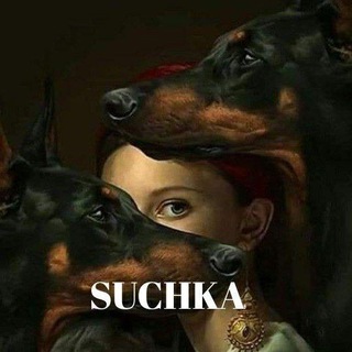 Логотип the_suchka