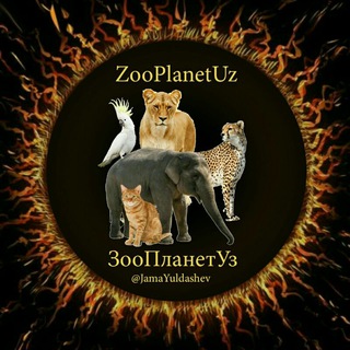 Логотип zooplanetuz