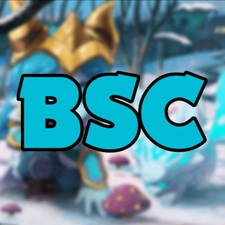 Логотип канала bscchannelb