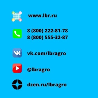 Логотип канала lbr_ru_chat