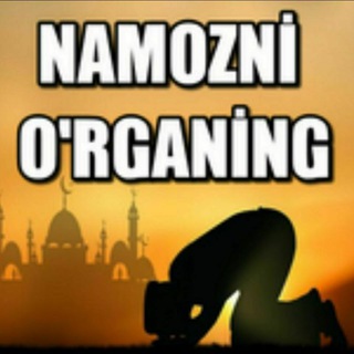 Логотип канала namozorganaman