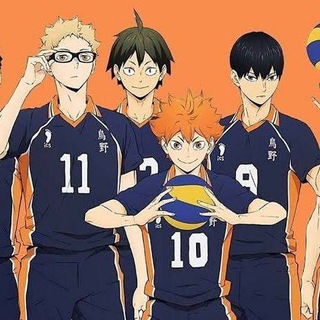 Логотип haikyuu480p