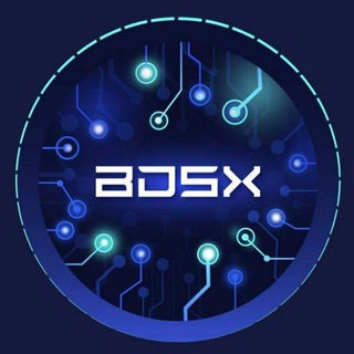 Логотип канала bdsx_news_en