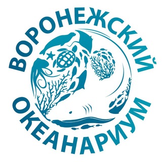 Логотип канала oceanarium_vrn