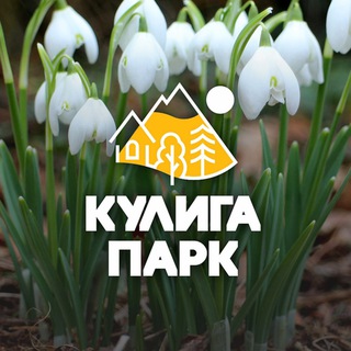 Логотип канала kuligapark