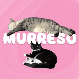 Логотип канала murreso