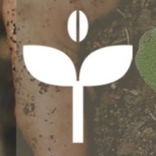 Логотип канала organicsoma