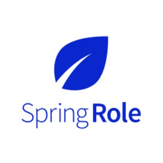 Логотип канала springrole