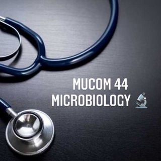 Логотип канала mucom44microsoms18