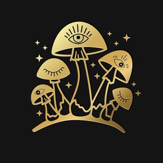 Логотип канала astafyevamushrooms