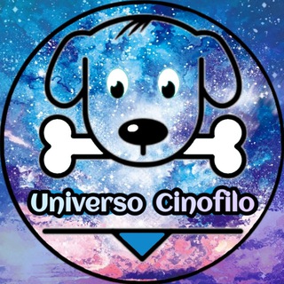 Логотип канала universocinofilo