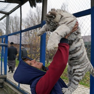 Логотип канала mariupol_zoo_life