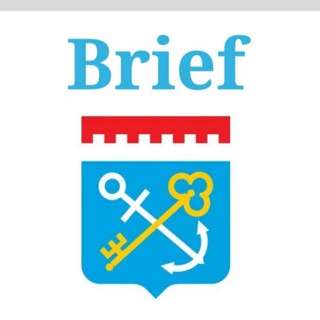 Логотип канала brieflo