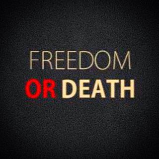 Логотип канала freedom_or_death11