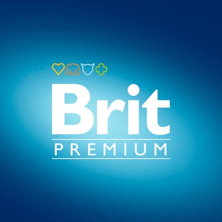 Логотип канала brit_premium
