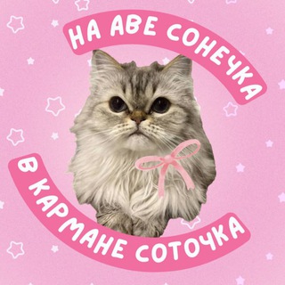 Логотип канала englishandcats