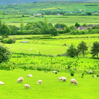 Логотип канала irishfarmers