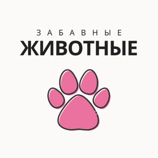 Логотип канала zabavnie_zhivotnie