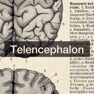 Логотип канала telencephalon