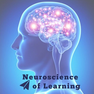 Логотип канала neurocognitionandlearning