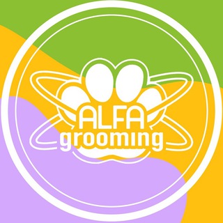 Логотип канала alfa_groom