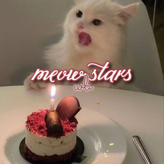 Логотип Meow_Star_Wildberries