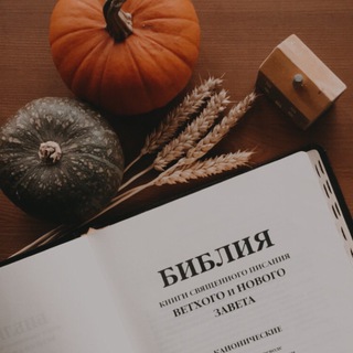 Логотип канала shereadsbible