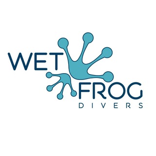 Логотип канала wetfrogdiverskomodo