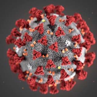 Логотип канала coronavirus_in_ukraine