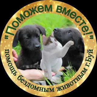 Логотип канала pomozhem_vmeste_buy