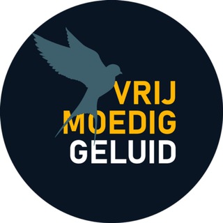 Логотип канала vmgeluid