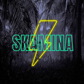 Логотип канала skamina_official