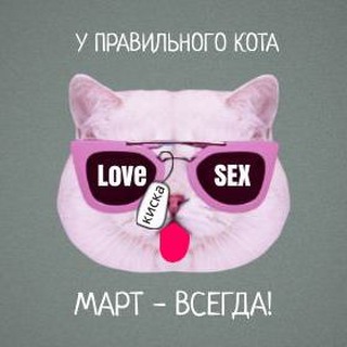 Логотип martcats