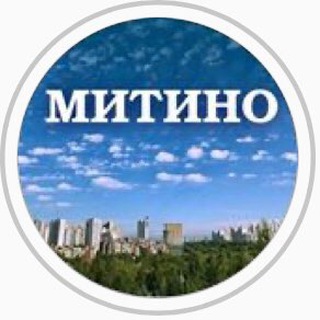 Логотип канала pro_mitino