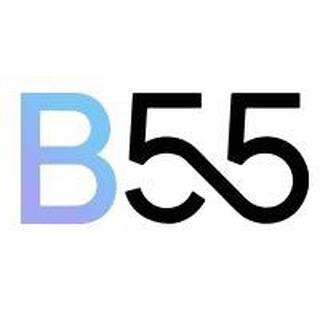 Логотип канала b55_io