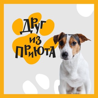Логотип drugizpriuta