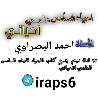 Логотип iraps6