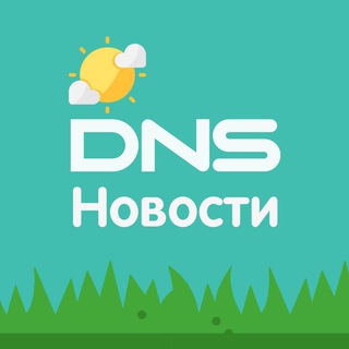 Логотип dnsgroup_news