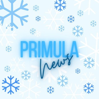 Логотип канала primulanews