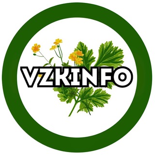 Логотип канала vzkinfo