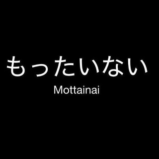 Логотип mottainai