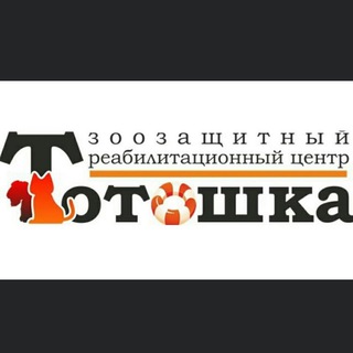 Логотип канала totoshka_rnd