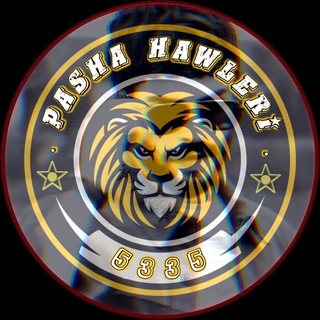 Логотип pasha_hawleri5335