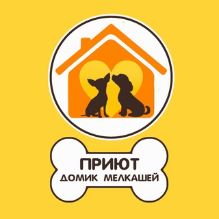 Логотип канала minidog_911