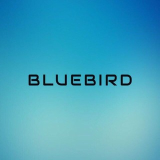 Логотип канала bluebirdmens