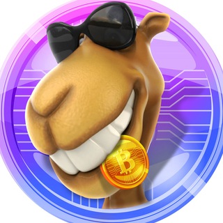 Логотип camelannouncement